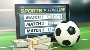 Explore the World of Haki Bet Your Ultimate Betting Experience Explore the World of Haki Bet Your Ultimate Betting Experience