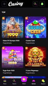 Discover the Thrills of Online Gaming at Casiny 29