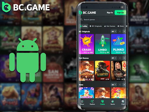 Experience the Thrill of BC.Game in Madagascar 8