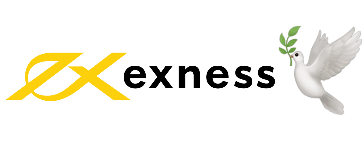 Everything You Need to Know About Exness Broker Login 19