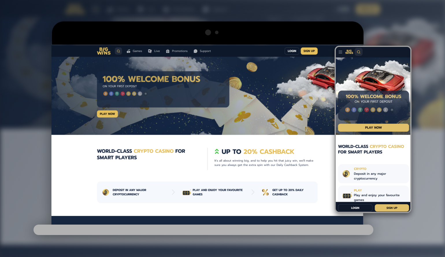 Bigwin Gambling Enterprise Review